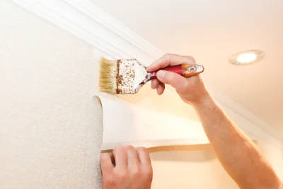 Pose de papier peint à Villate — revêtements muraux et toiles de verre